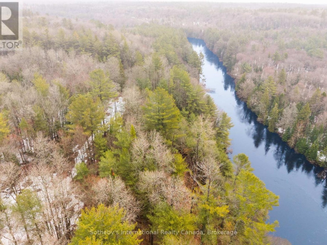 1000 ALPINE RANCH ROAD, North Branch Muskoka River