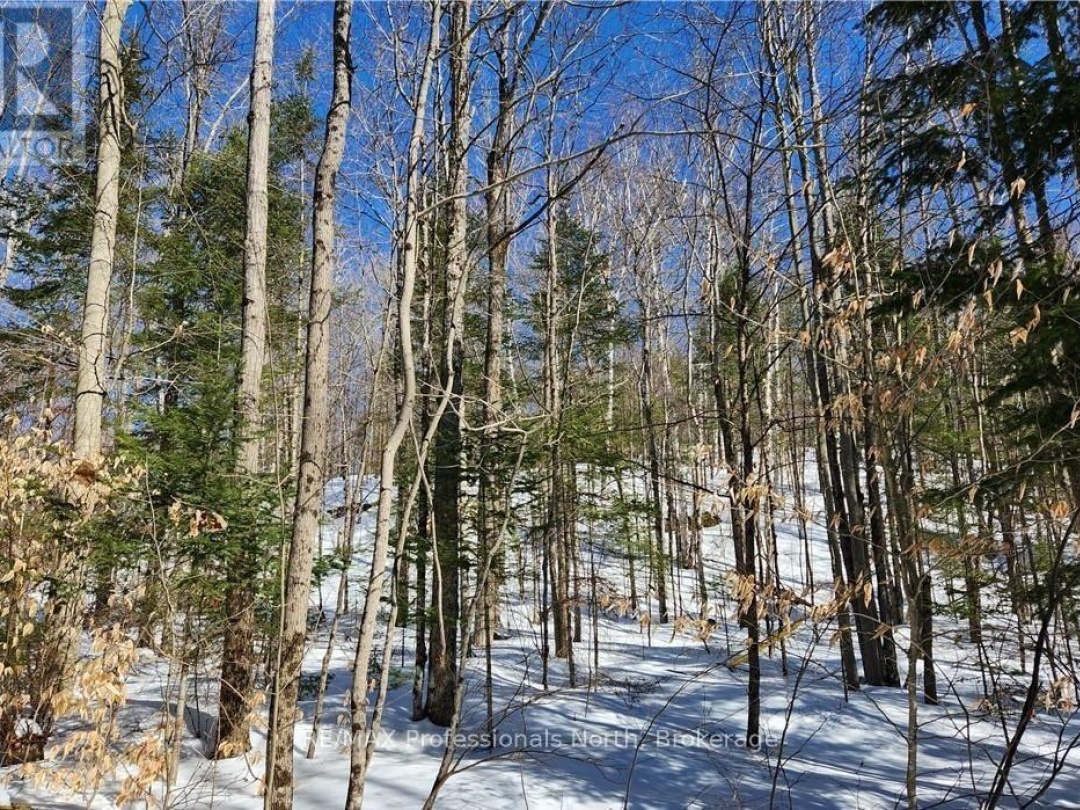 0 POVERTY BAY TRAIL, Soyers Lake