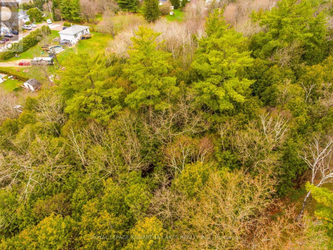 LT38-39 SILVER LAKE ROAD, Kawartha Lakes (Somerville)