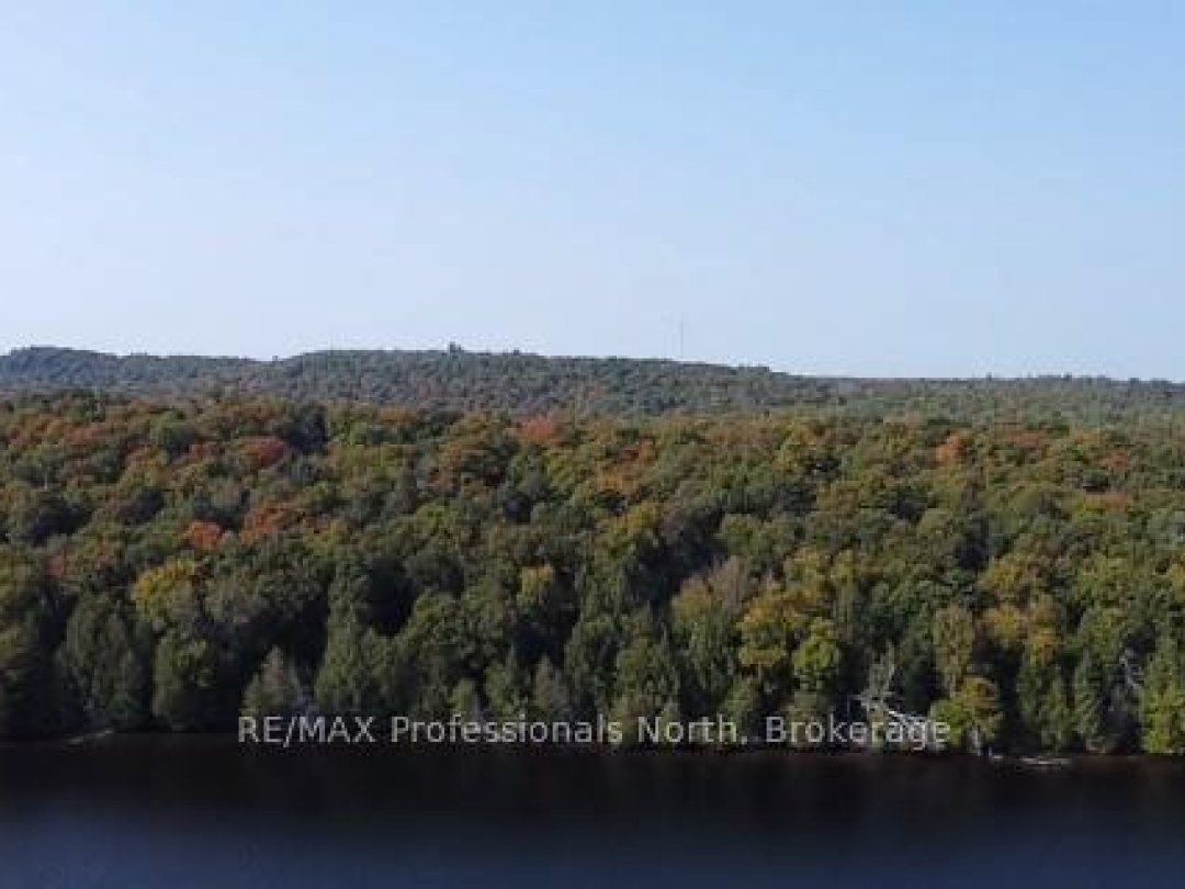 1448-2 WEST OXBOW LAKE ROAD, Oxbow Lake