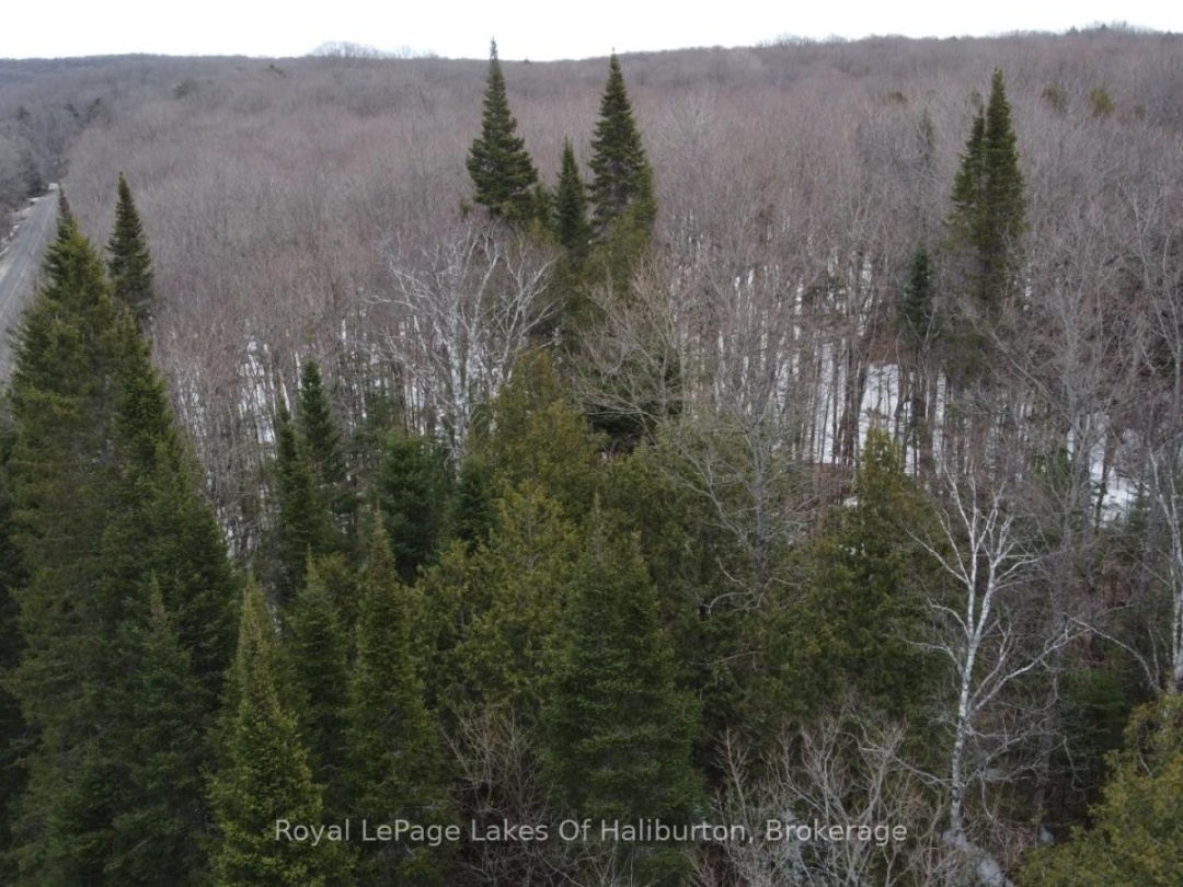 0 KASHAGAWIGAMOG LAKE ROAD, Dysart et al (Dysart)