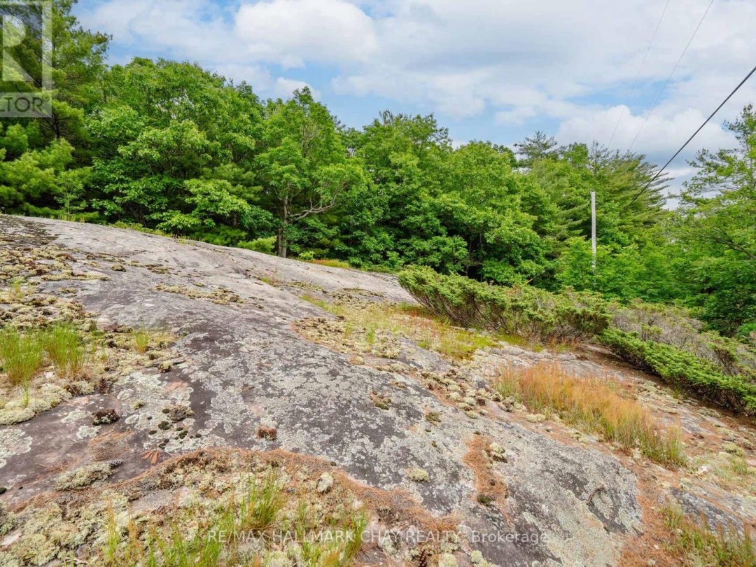 LOT 2 DELTA ROAD, Sparrow Lake