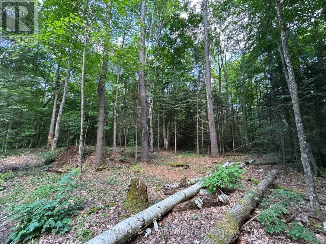 1124 LITTLE HAWK LAKE ROAD, Algonquin Highlands (Stanhope)
