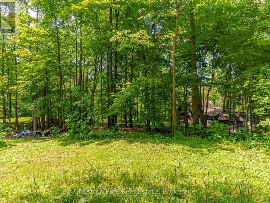 115 WOODLAND DRIVE, Huntsville (Chaffey)