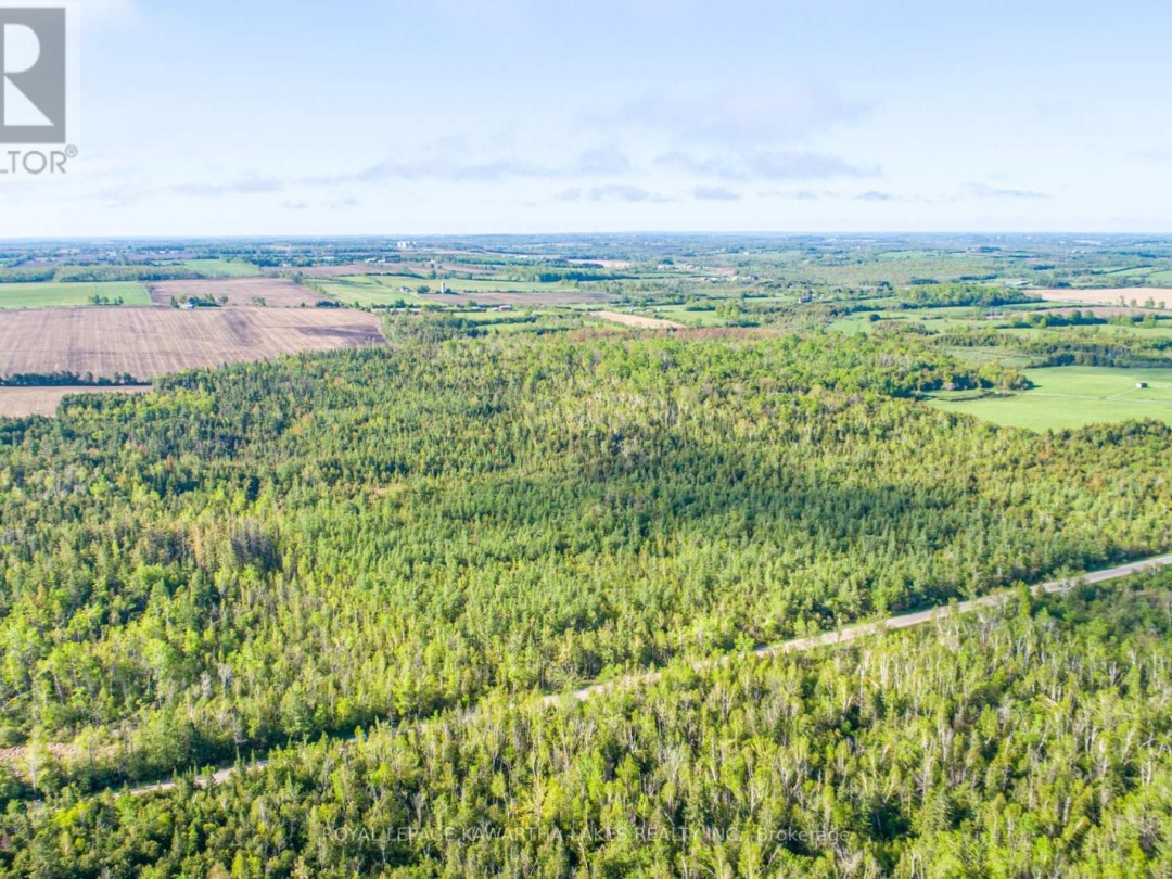 LOT 3 BLACK SCHOOL ROAD, Kawartha Lakes (Mariposa)