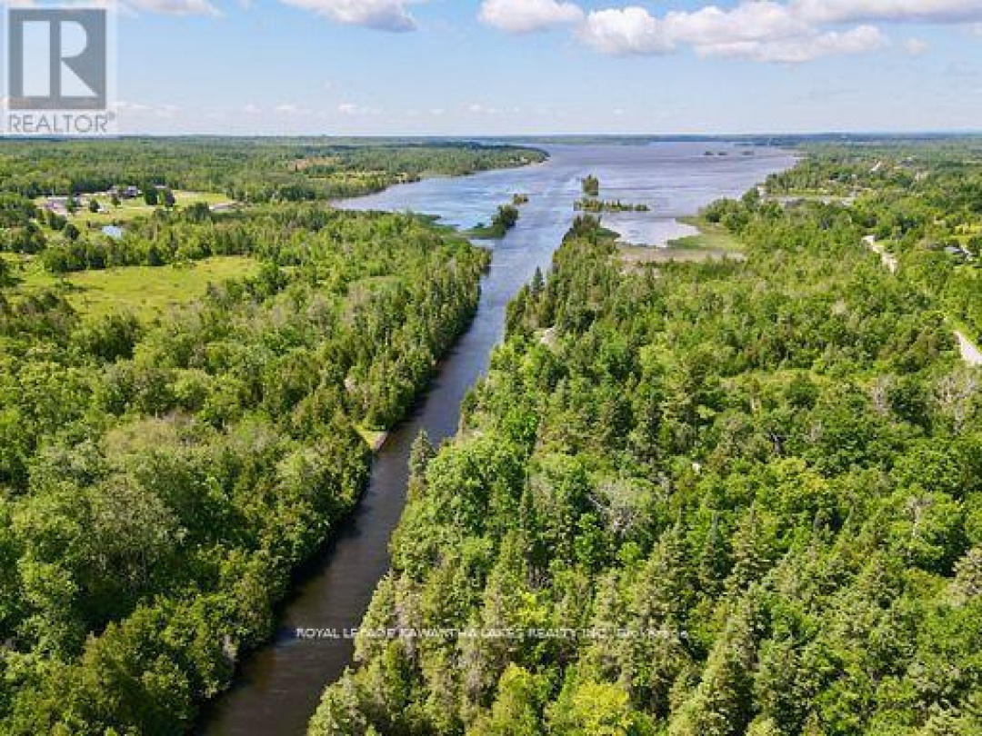 81 MCGUIRE BEACH ROAD, Trent-Severn Waterway