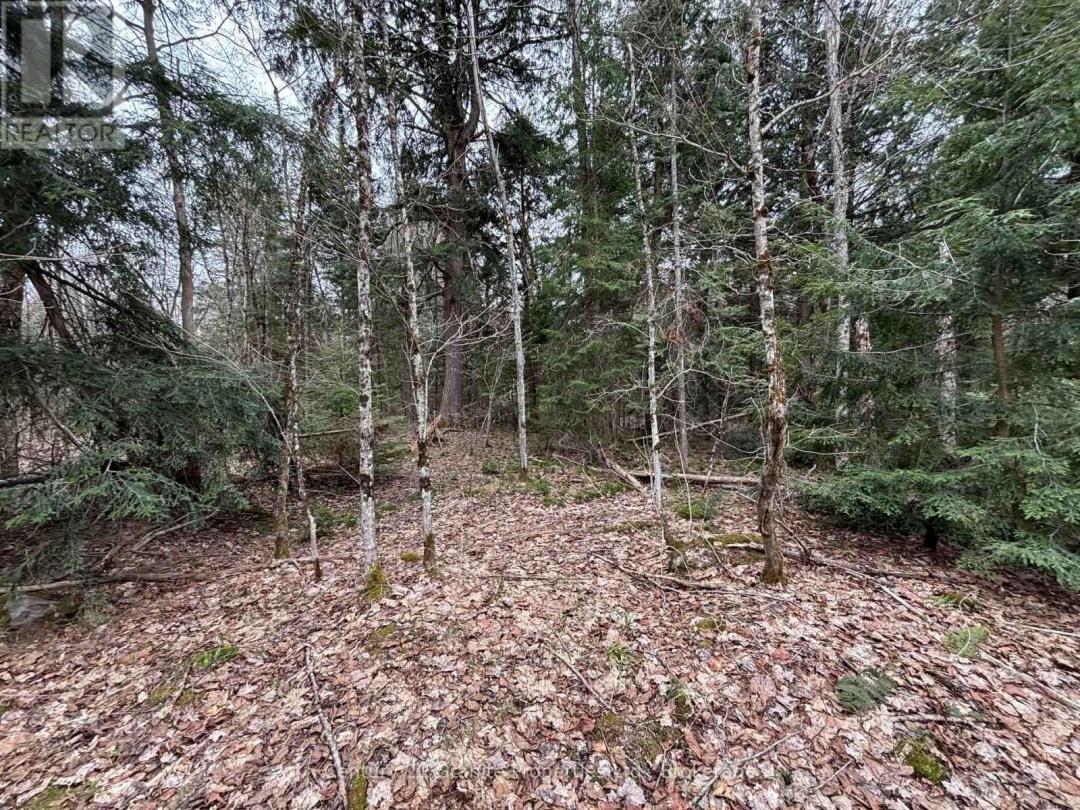 LOT 1 LOCH ERNE ROAD, McDougall