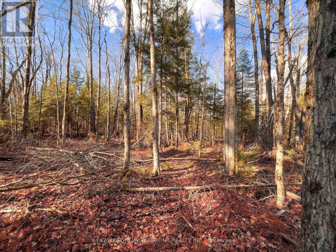 0 WEISMULLER LANE, Bracebridge (Draper)