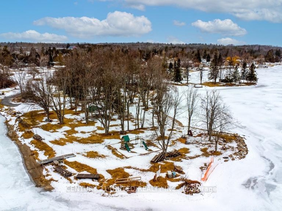 216 GEORGE DRIVE, Kawartha Lakes (Emily)