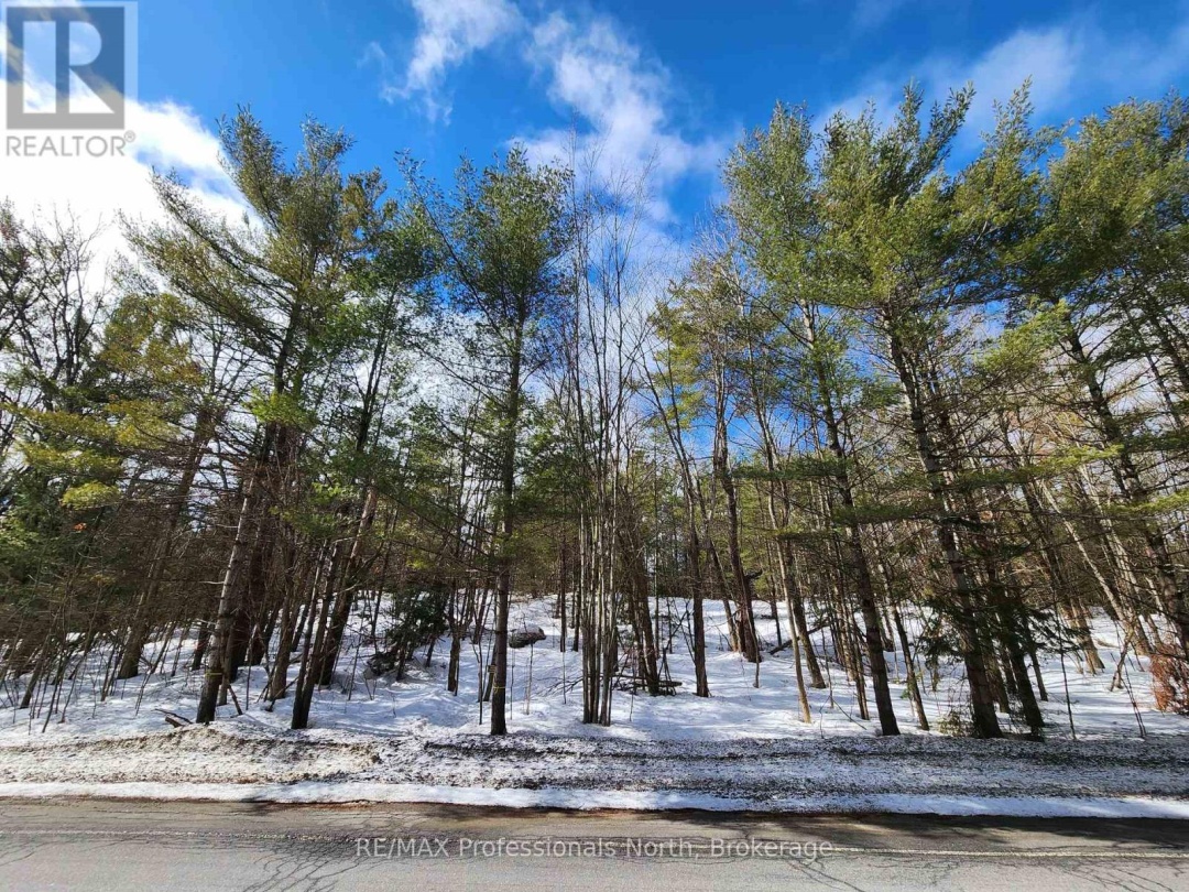 00 MANITOBA STREET, Bracebridge (Macaulay)