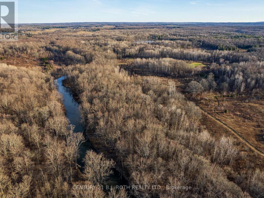 1007 MOUNT STEPHEN ROAD NE, North River