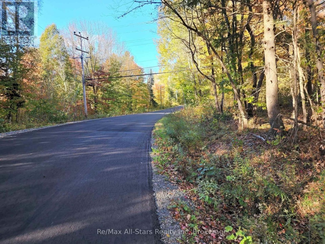 A TALLY HO WINTER PARK ROAD, Lake of Bays (Sinclair)