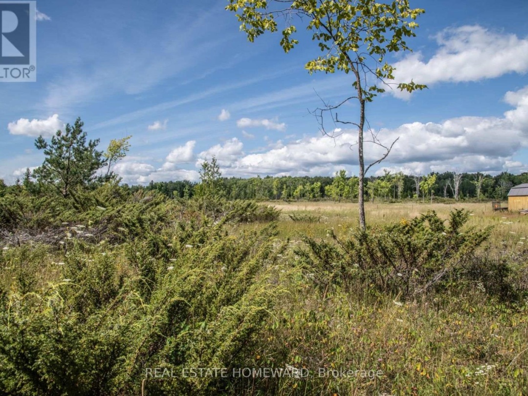 254-256 MCGUIRE BEACH ROAD, Kawartha Lakes (Carden)