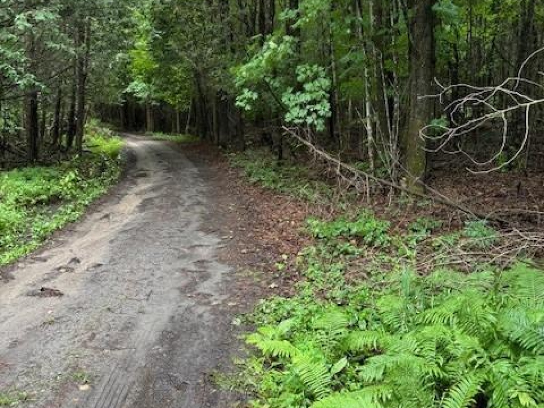 LOT 70 25TH LINE, 