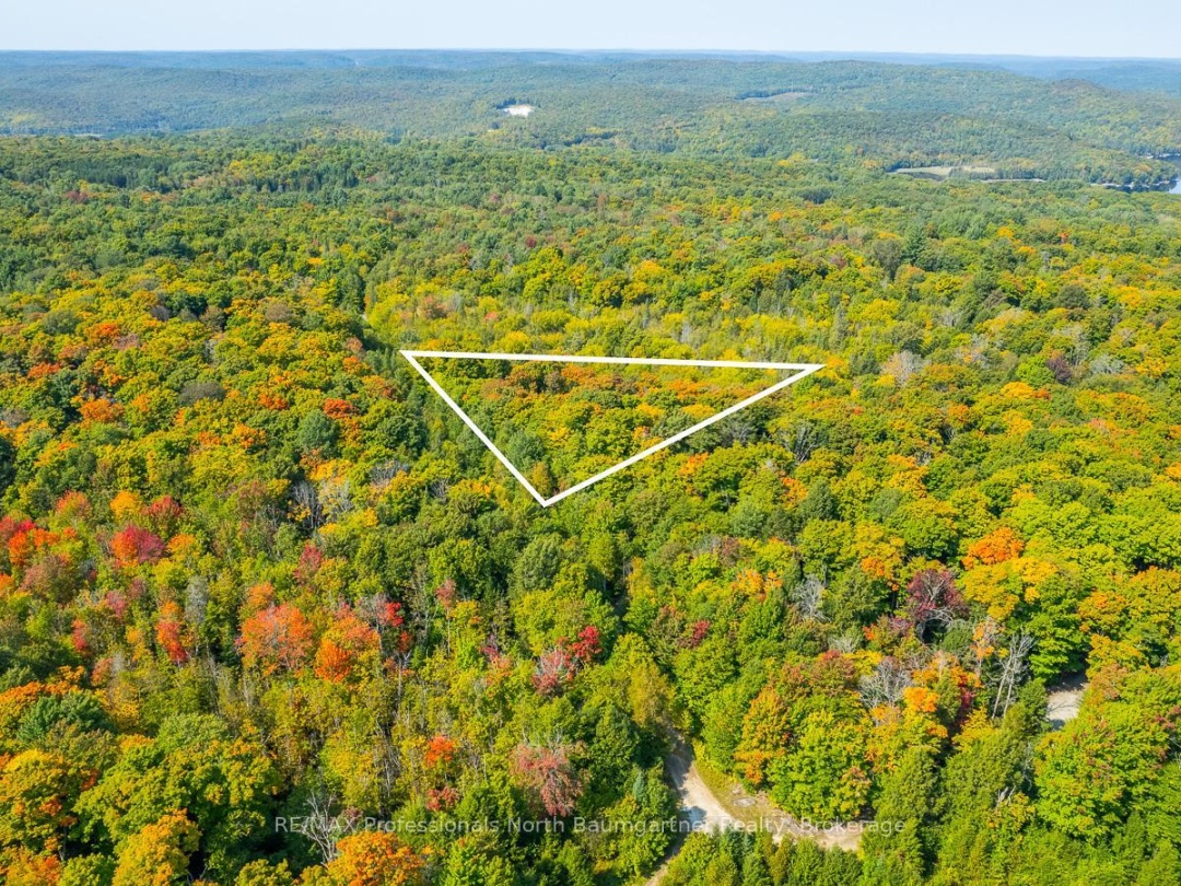 LOT 49 BASSHAUNT LAKE ROAD, 