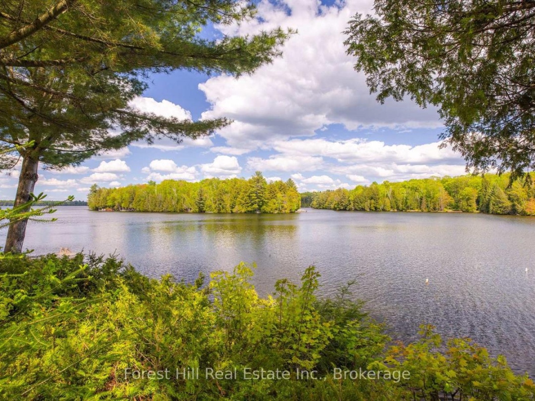 445 LORIMER LAKE ROAD, Lorimer Lake