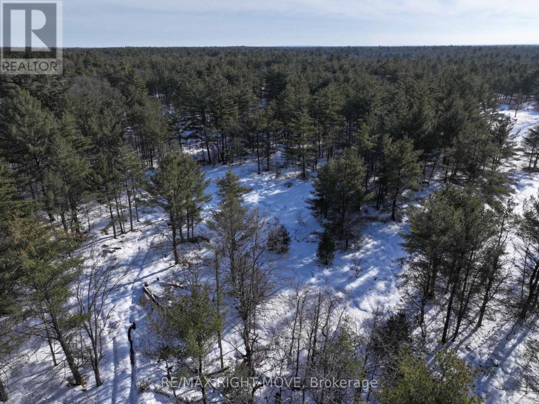 2503 SOUTHWOOD ROAD, Gravenhurst (Morrison)