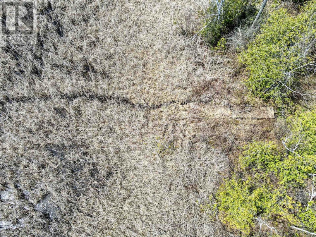 126 MCGUIRE BEACH ROAD, Kawartha Lakes (Carden)