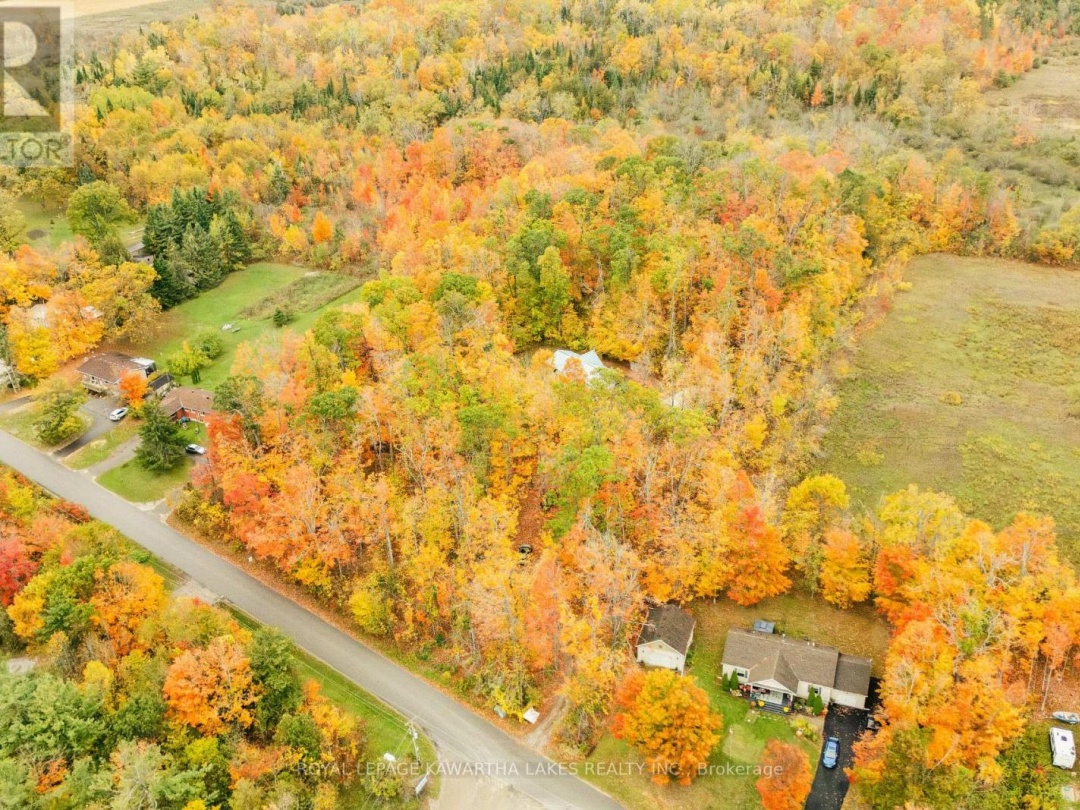 693 BALSAM LAKE DRIVE, 