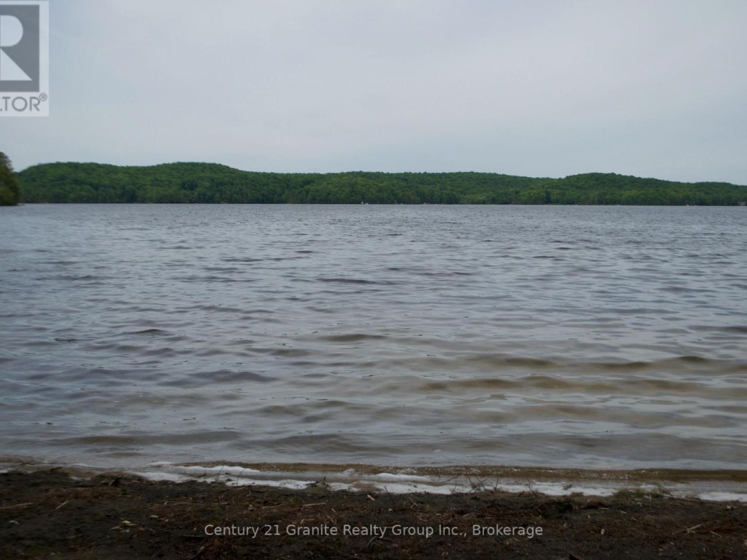 LOT 10 LOON LAKE ROAD S, Loon Lake
