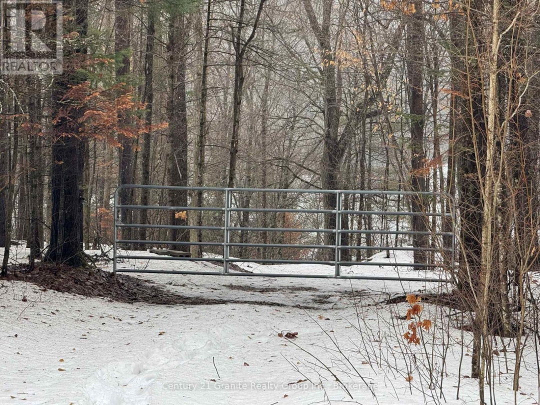1037 ROTUNDA DRIVE, Contau Lake