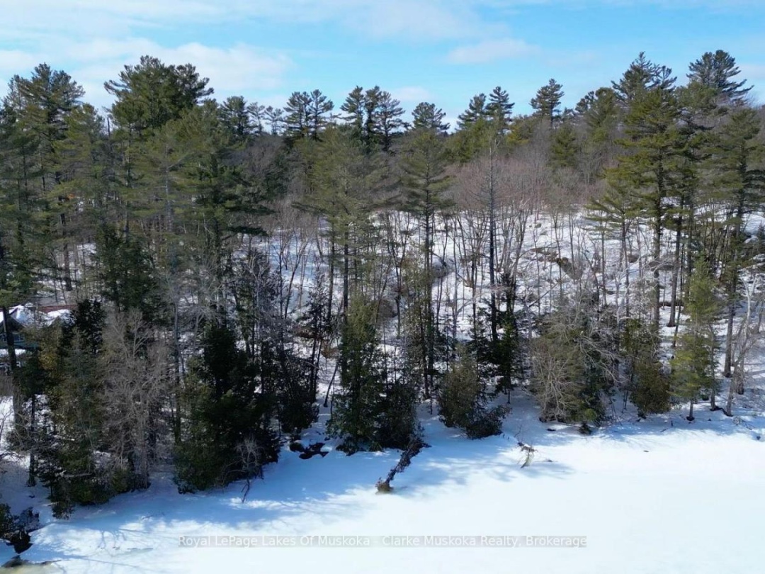 252 CLEAR LAKE ROAD, Lake Joseph