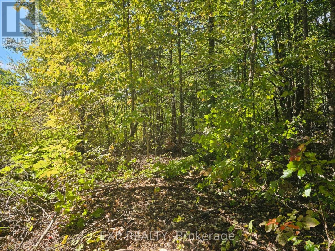 PART LOT 32 AND 33 PART 2 CONC 1 CONCESSION, Salerno Lake