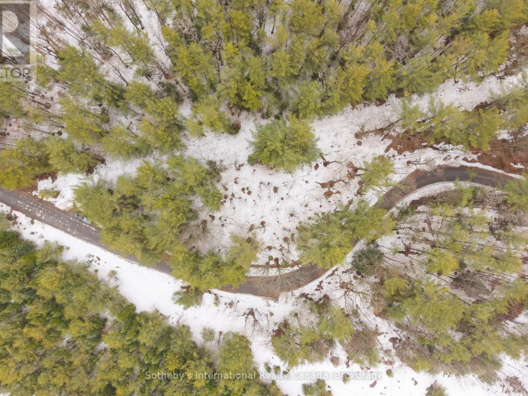 1000 ALPINE RANCH ROAD, North Branch Muskoka River