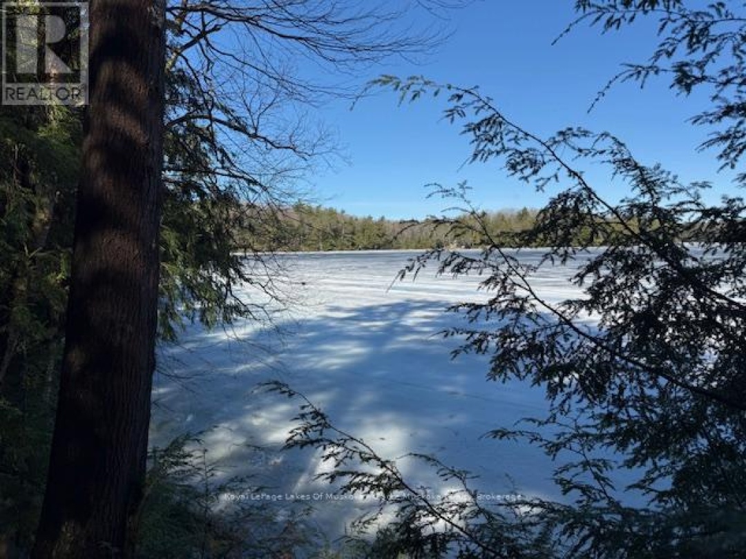 0 SOUTH CRANE LAKE ROAD, Crane Lake