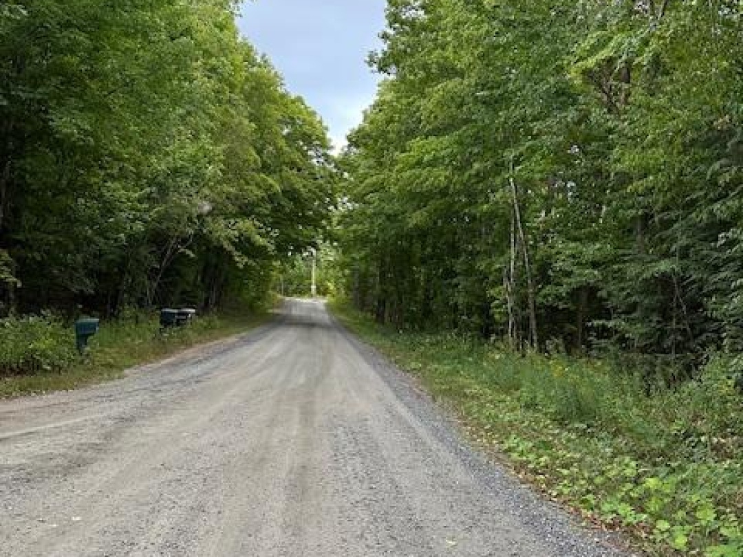 LOT SILVERWOOD ROAD, Minden Hills (Snowdon)