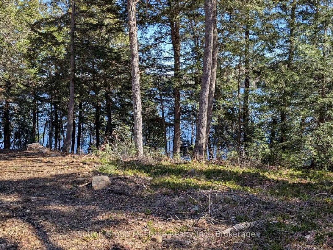 LOT 1 ESIG LANE, Rebecca Lake