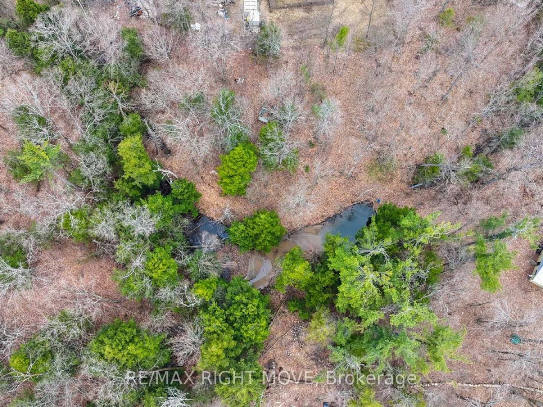 4124 WAINMAN LINE, Severn (Bass Lake)
