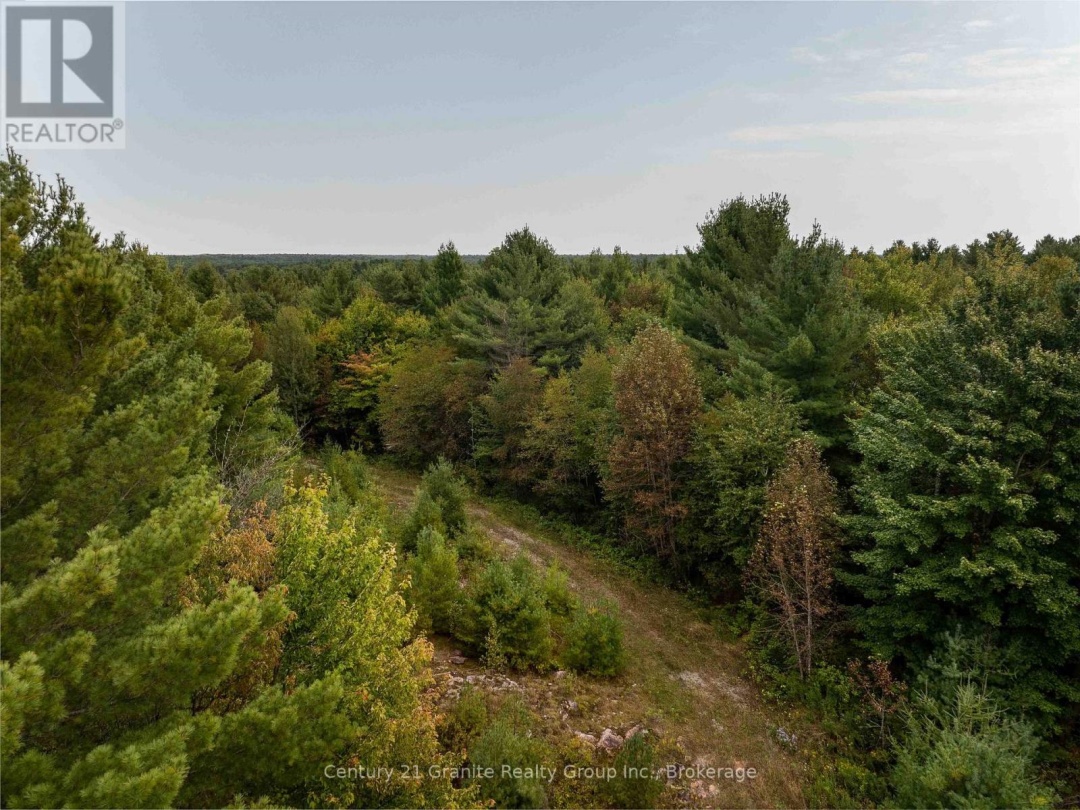 4729 COUNTY ROAD 121, Minden Hills (Lutterworth)