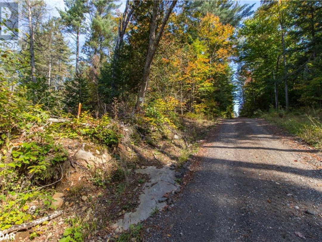 0 LYNX LAKE Road, 