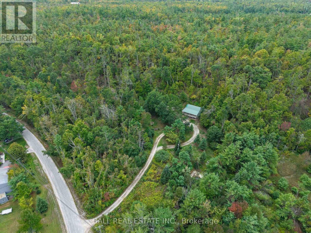 45 SPRING DRIVE, 
