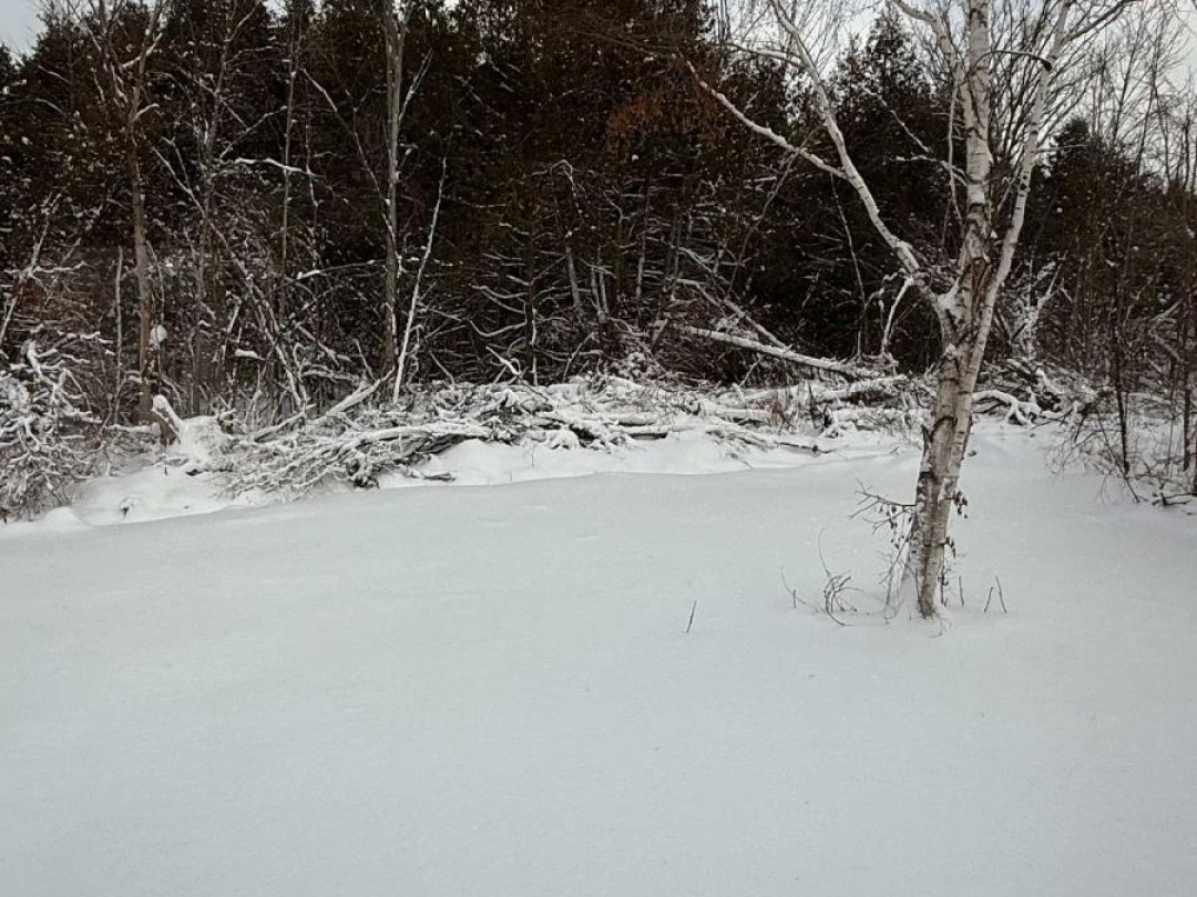 23 BLYTHE SHORE ROAD,