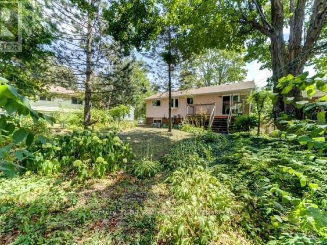 24 CHAMPLAIN STREET, 