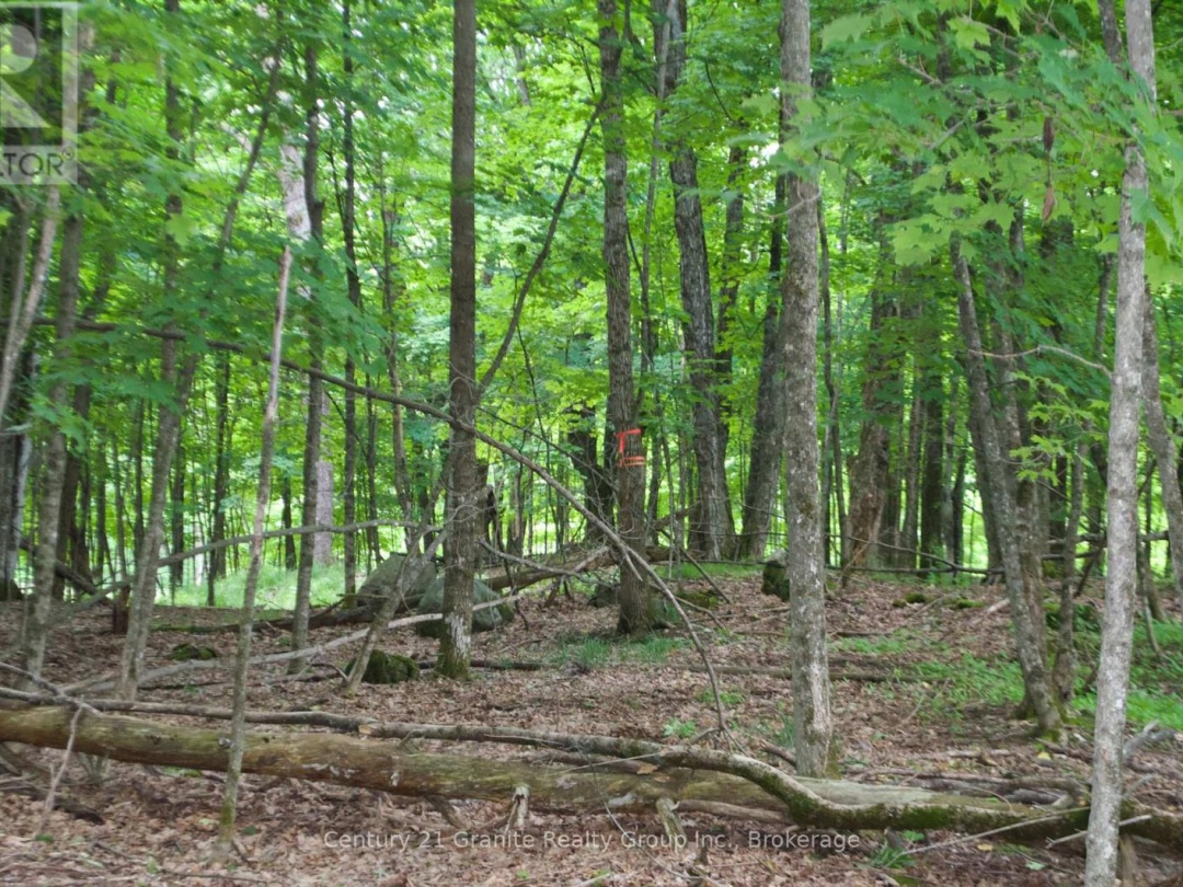 LOT 7 RIDGEVIEW ROAD, 