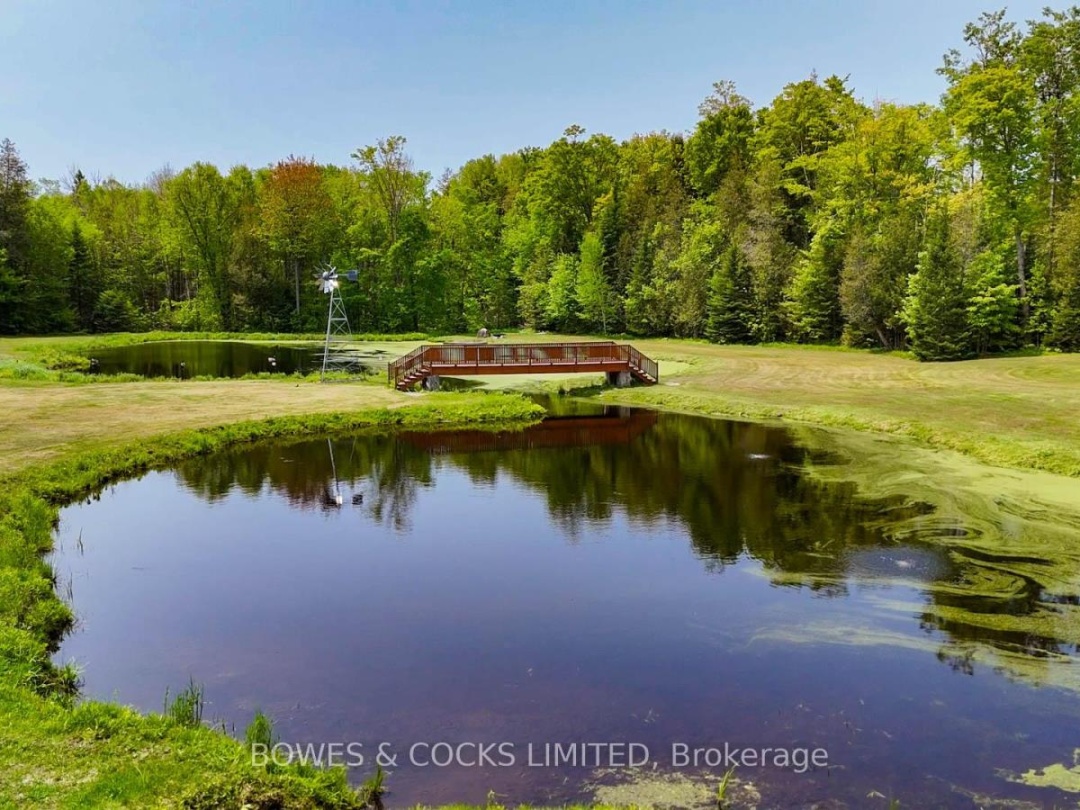 2070 FORTESQUE LAKE ROAD, Highlands East (Glamorgan)