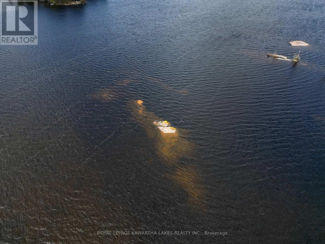 11 WOODWORTH DRIVE, Four Mile Lake
