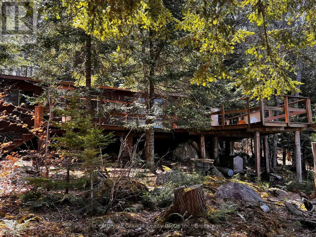1208 REG'S TRAIL, Drag Lake