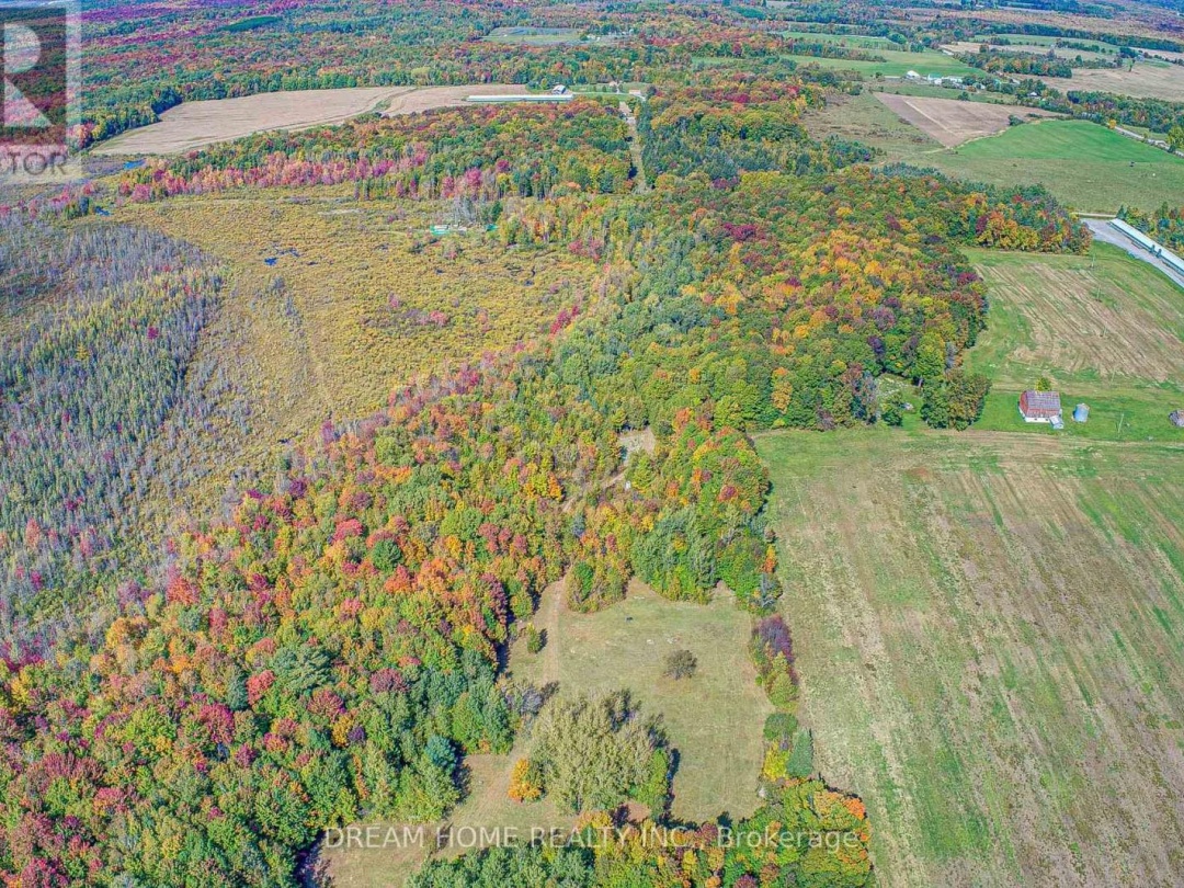 1119 SAJNOVIC PLACE, 