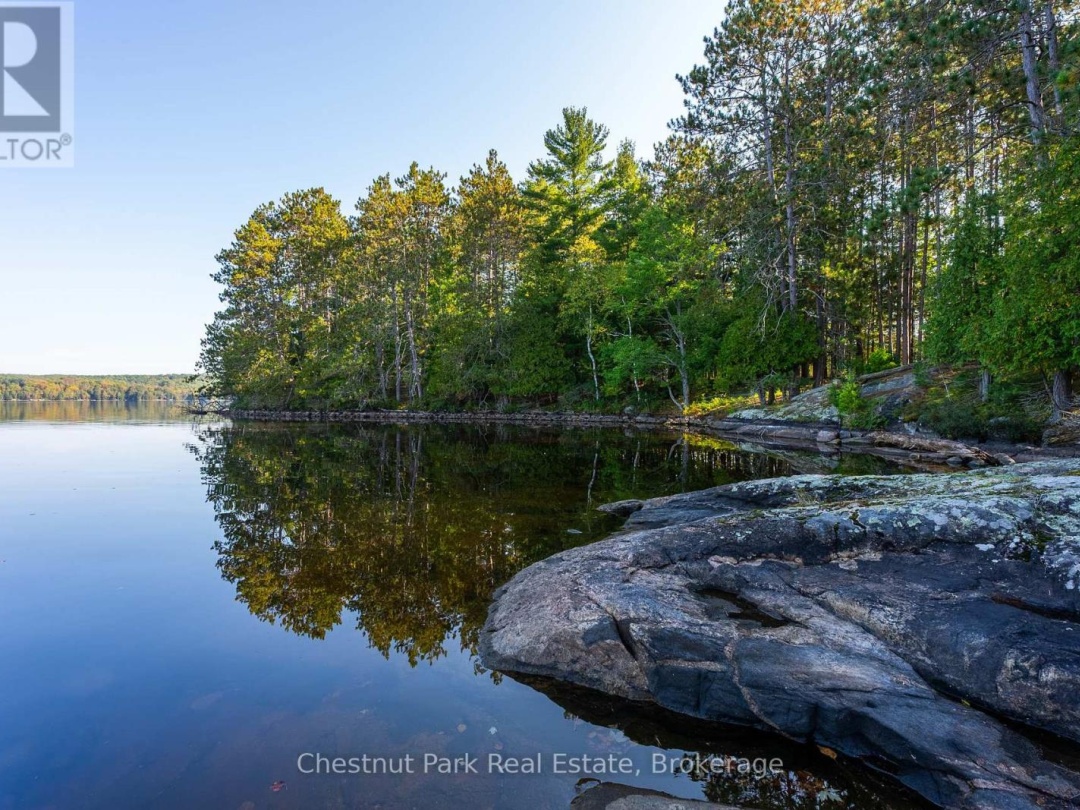 10000 SOYERS - BROWN ISLAND, Soyers Lake