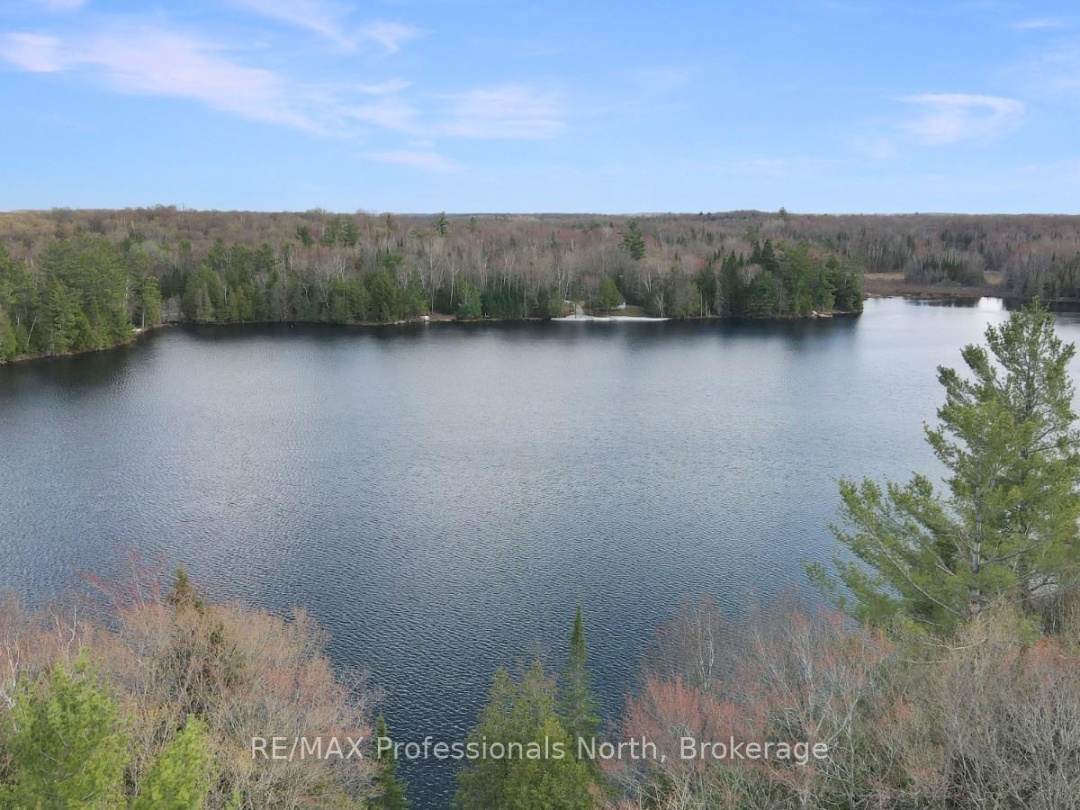 1107 PLUTO TRAIL, Boyne Lake