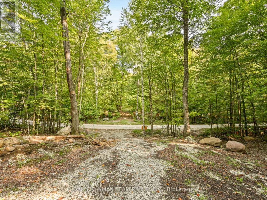 1409 BASSHAUNT LAKE ROAD, Dysart et al (Guilford)