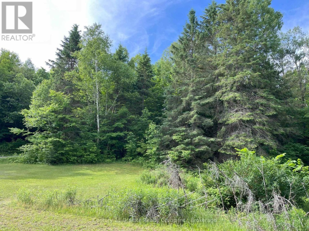 1329 DUCK LAKE ROAD, Minden Hills (Minden)