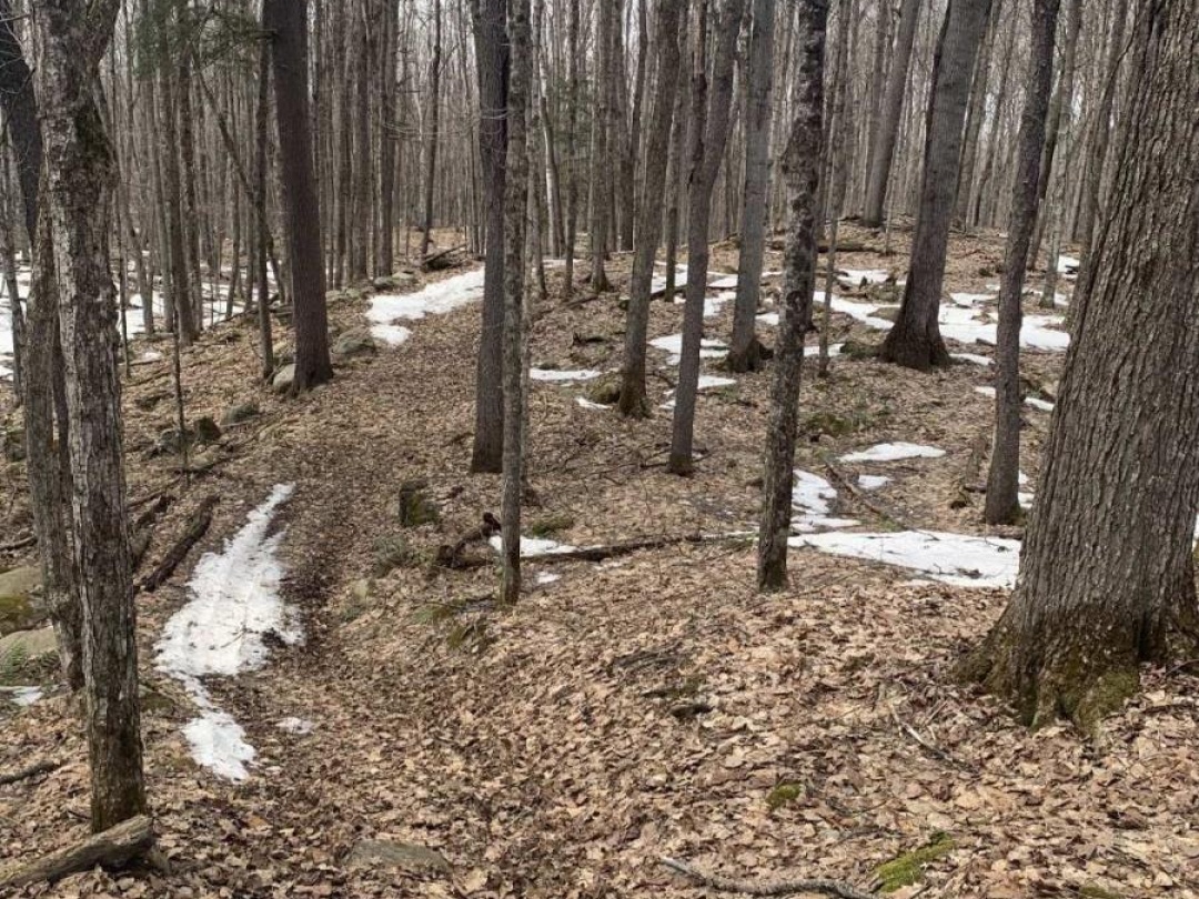 0 KASHAGAWIGAMOG LAKE ROAD, Dysart et al (Dysart)