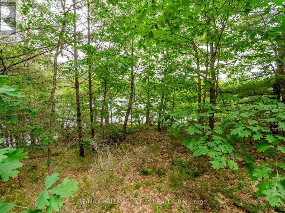LOT 2 DELTA ROAD, Sparrow Lake