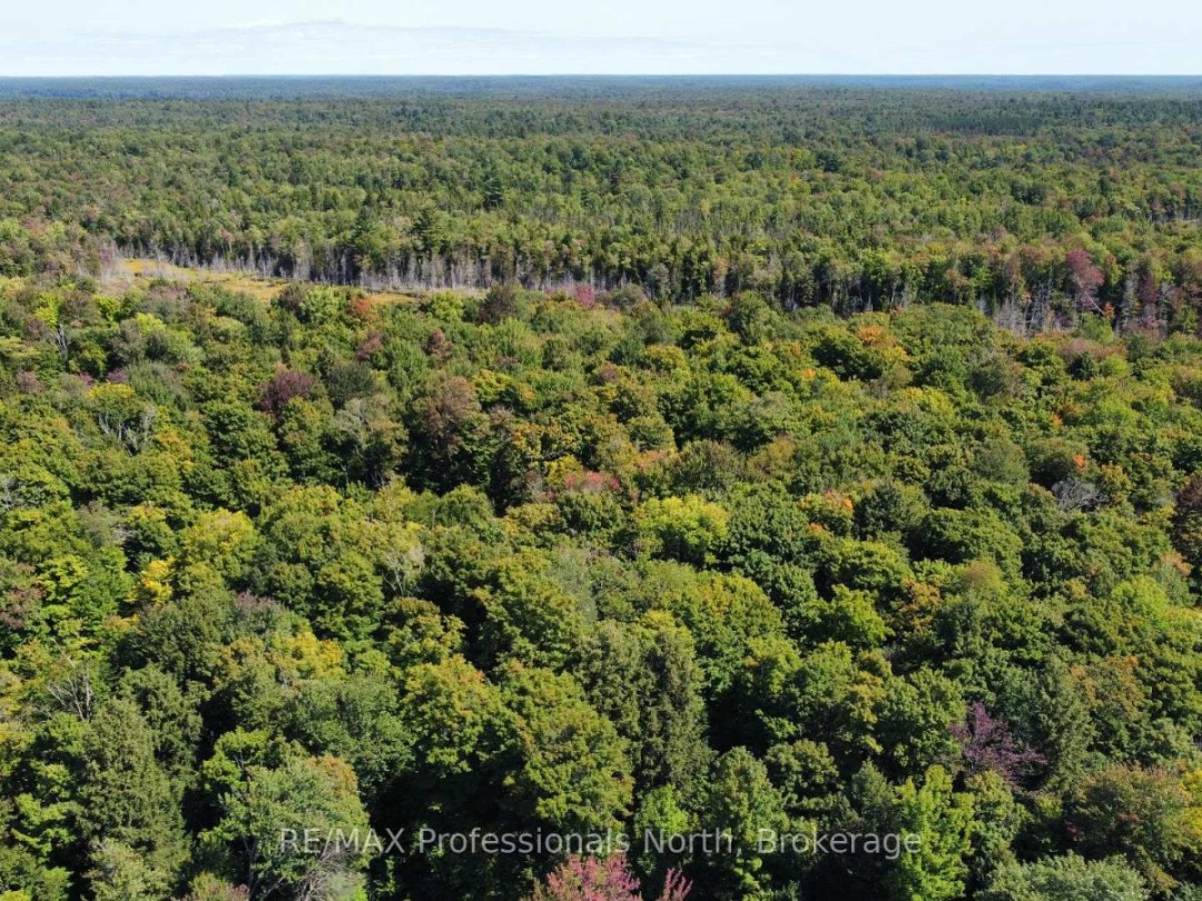 LOT 32 CONCESSION 5, Round Pond