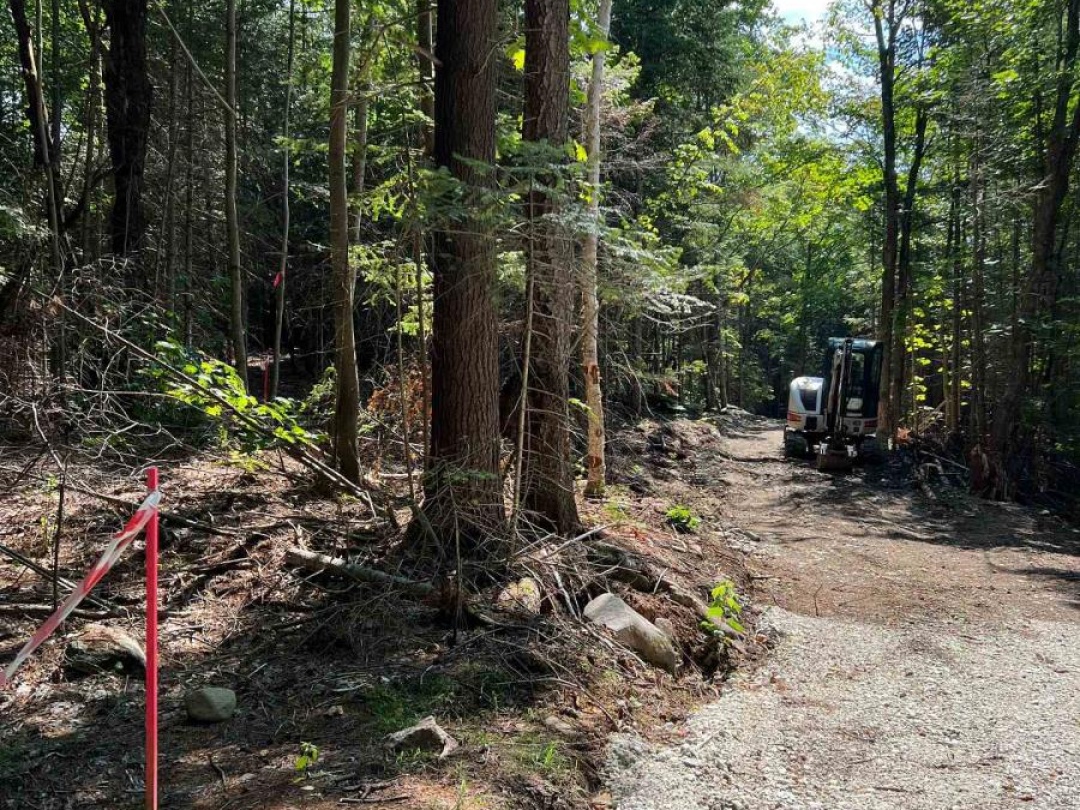 LOT 29 WEST COURT, Dysart et al (Guilford)